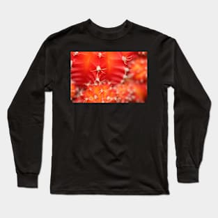 Cactus Sunrise Long Sleeve T-Shirt